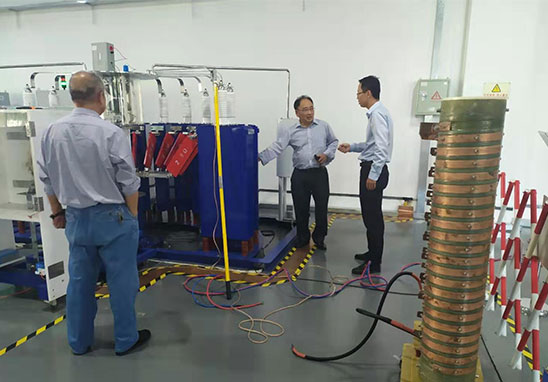 國(guó)際防雷專家-1 國(guó)際防雷專家-1